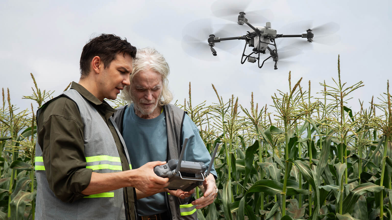 Formación en Seguridad y Regulación